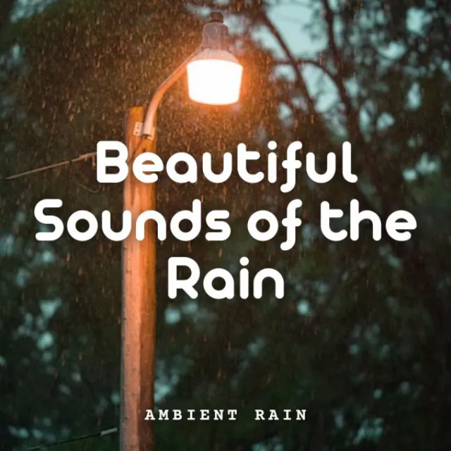 Ambient Rain: Beautiful Sounds of the Rain