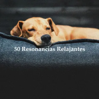 50 Resonancias Relajantes by Unknown Artist