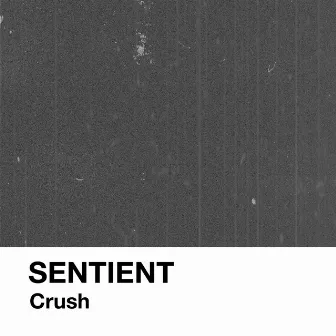 Crush by Sentient