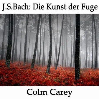 J.S.Bach: Die Kunst der Fuge by Colm Carey