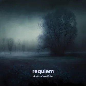 requiem by marauder.