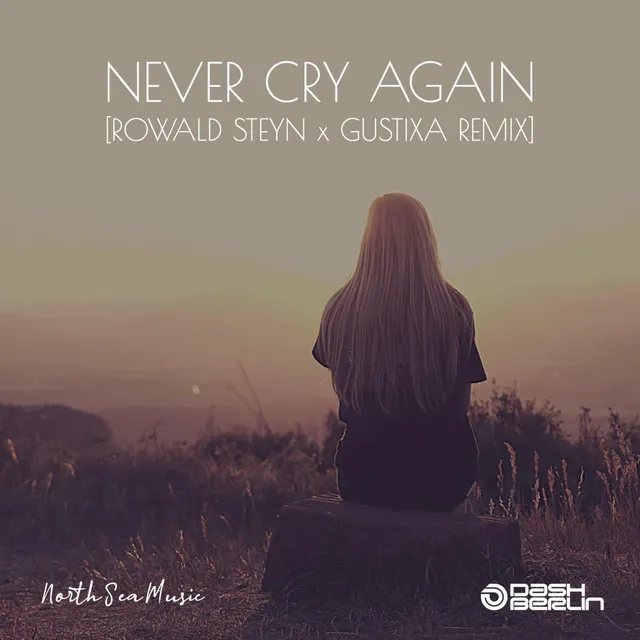 Never Cry Again - Rowald Steyn & Gustixa Remix