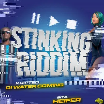 Stinking Riddim by Sita