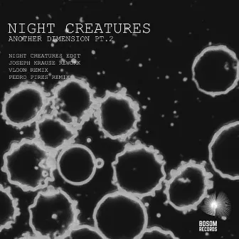 Another Dimension, Pt. 2 by Night-Creatures