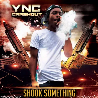 Shook Something by Ync Crashout