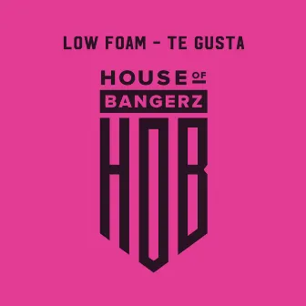 Te Gusta by Low Foam