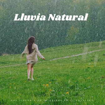 Lluvia Natural: Una Sinfonía De Chirridos En El Aguacero by Ambiente Meteorológico