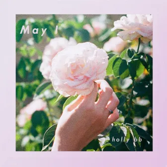 May I by Holly BB