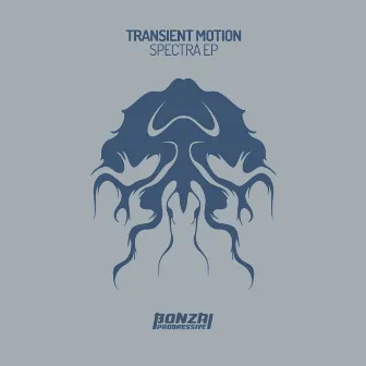 Spectra EP by Transient Motion