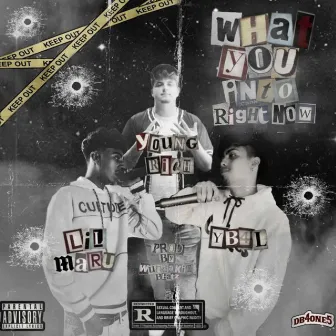 What You Into (Right Now) [feat. Lil Maru & YB4L] by Young Rich