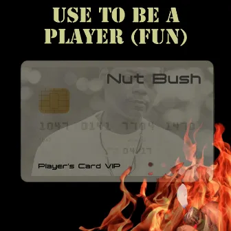 Use To Be A Player (Fun) by Nut Bush