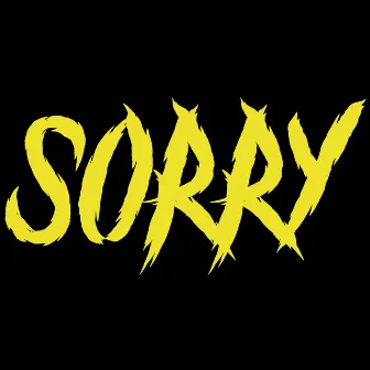 Sorry by Wite Katt