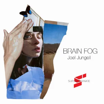 Brain Fog by Joel Jungell