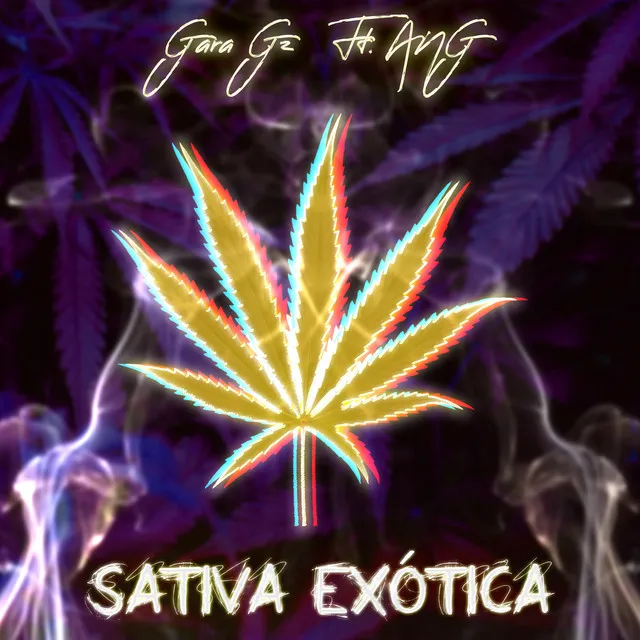 Sativa exótica