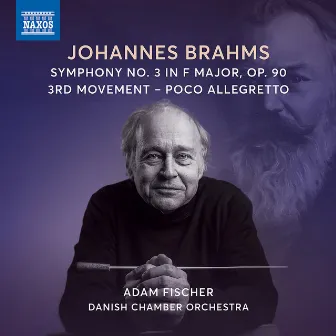 Symphony No. 3 in F Major, Op. 90: III. Poco allegretto by Danish Chamber Orchestra