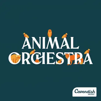 Animal Orchestra by Roma Yagnik