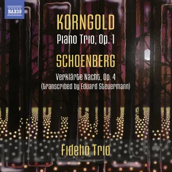 Korngold: Piano Trio - Schoenberg: Verklärte Nacht by Fidelio Trio