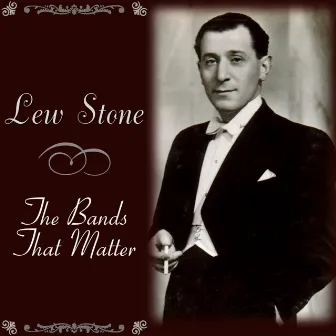 The Bands That Matter by Lew Stone