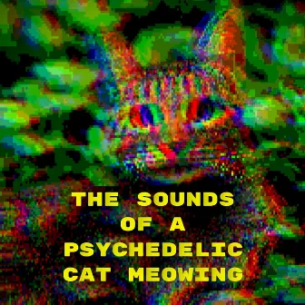 The sounds of a psychedelic cat meowing by Мяуканье кошек и котят