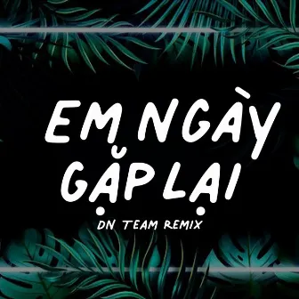 Em Ngày Gặp Lại (Kiếp Má Hồng 2) - DN Team Remix by DN Team