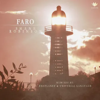 Faro by Shane Robinson