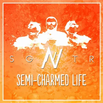 Semi-Charmed Life by SGNTR