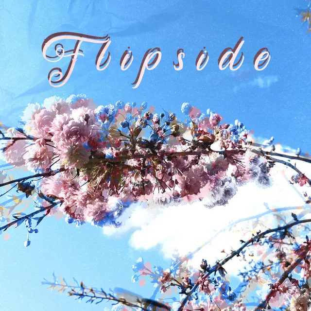 Flipside