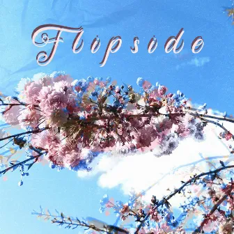 Flipside by it.used.to