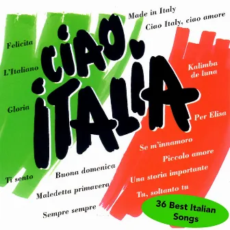 CIAO ITALIA - 36 Best Italian Songs by The Italians