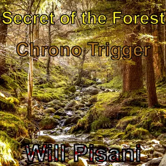 Secret of the Forest (From 