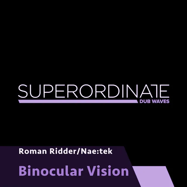 Binocular Vision