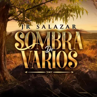 Sombra De Varios by Jr Salazar