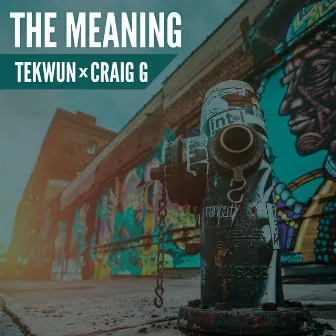 The Meaning by Dj Tekwun