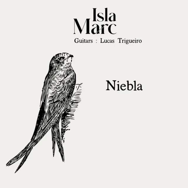 Niebla (Radio Edit)