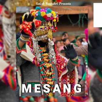 Mesang by Babli Negi