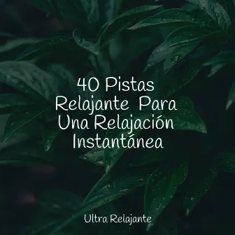 40 Pistas Relajante Para Una Relajación Instantánea by Jazz Para Crianças