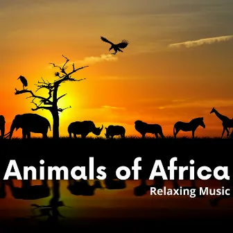 Animals of Africa, Relaxing Music by Unknown Artist