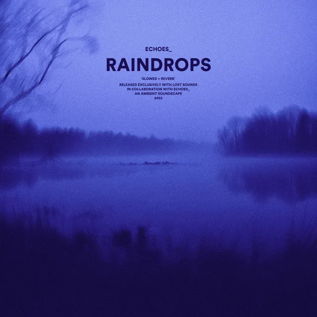 raindrops (slowed + reverb)