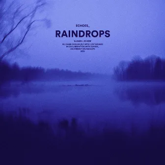 raindrops (slowed + reverb) by Echoes_