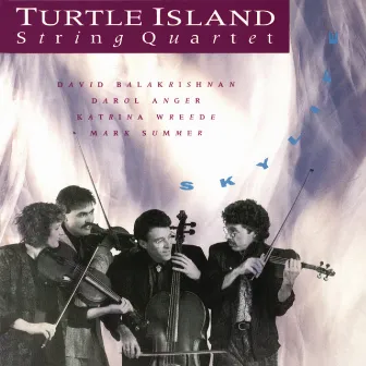 Skylife by Turtle Island String Quartet