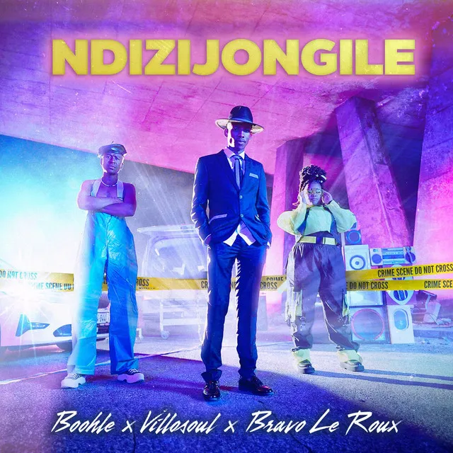 Ndizijongile