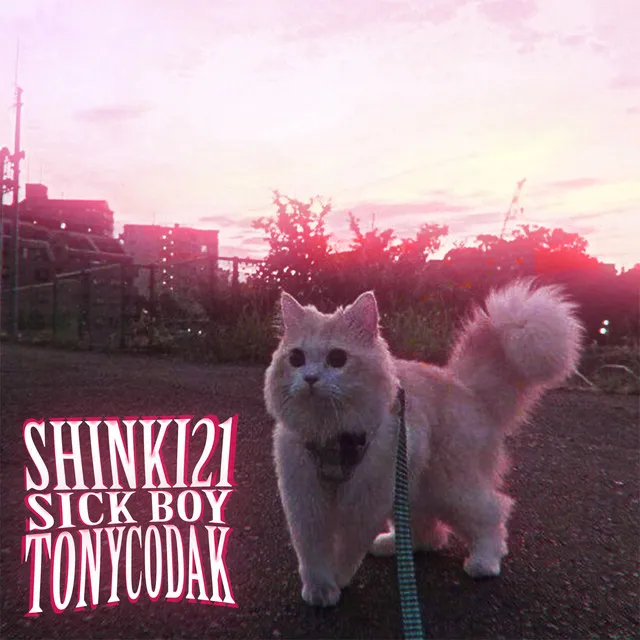 Sick Boy (Remix) (Remix)