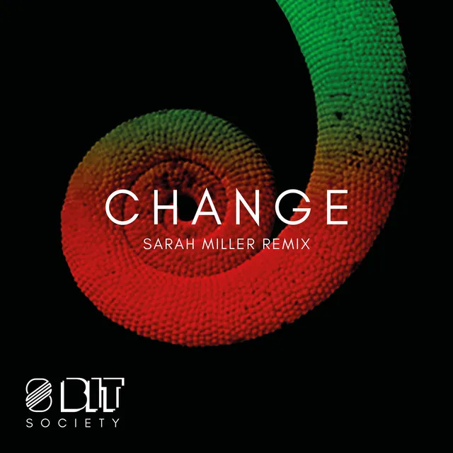 Change - Sarah Miller Remix