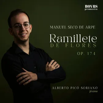 Seco De Arpe: 'Ramillete De Flores' by Manuel Seco de Arpe