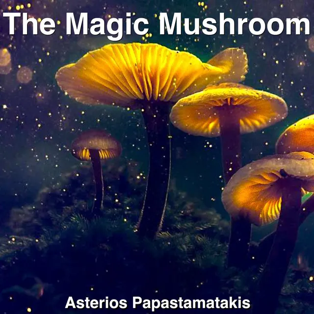 The Magic Mushroom