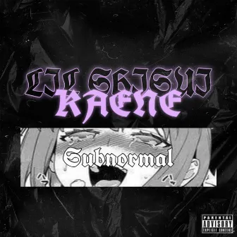 Subnormal by Lil Shisui