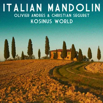 Italian Mandolin by 