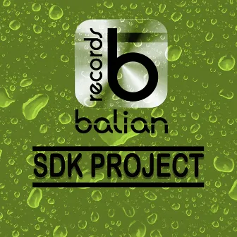 SDK Project by SDK Project