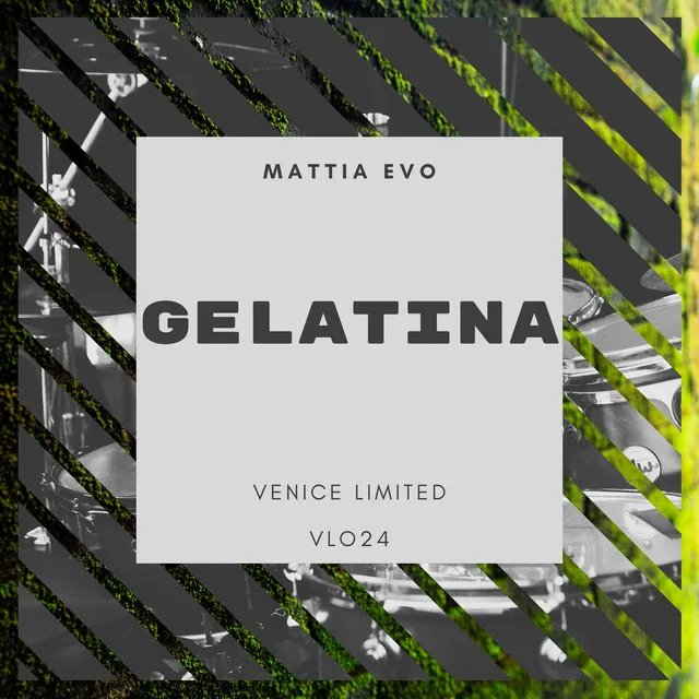 Gelatina