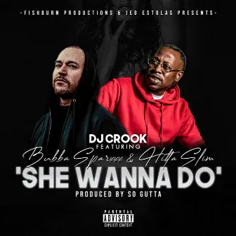 She Wanna Do' by DJ Crook